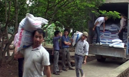 Liên kết chăn nuôi ở Hà Nam: "Bốn nhà" cùng có lợi