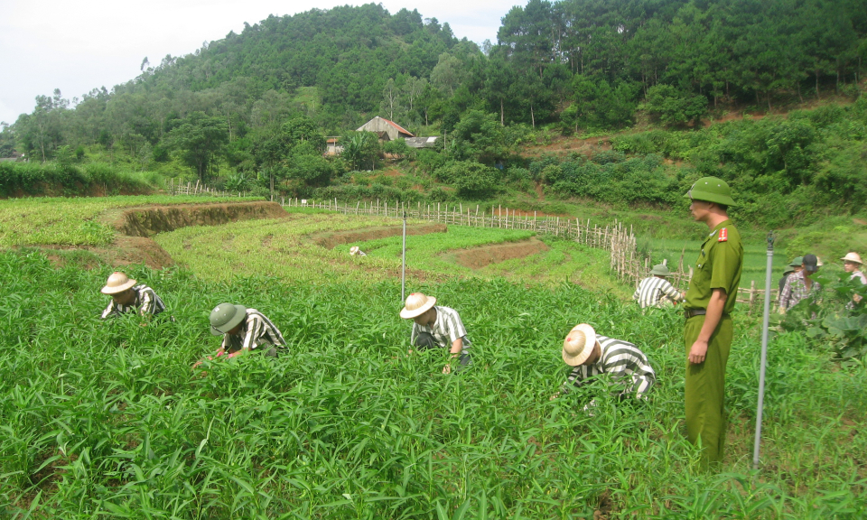 Đậm nét nhân văn từ cuộc phát động viết thư “gửi lời xin lỗi” trong phạm nhân