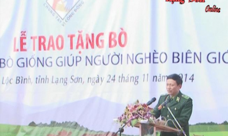 Tặng 124 con bò giống cho người nghèo khu vực biên giới