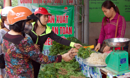 Phát triển vùng rau xanh: Mở rộng sản xuất an toàn, nâng cao hiệu quả