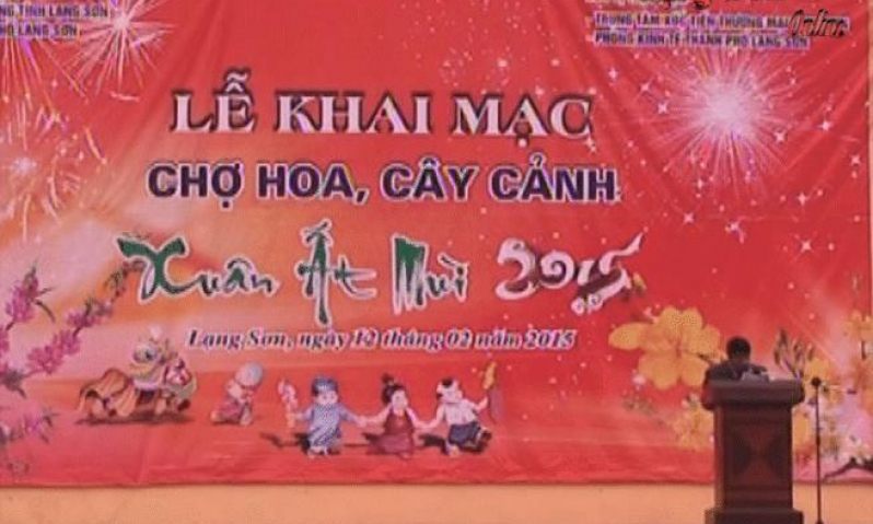 Khai mạc chợ hoa, cây cảnh Xuân Ất Mùi 2015