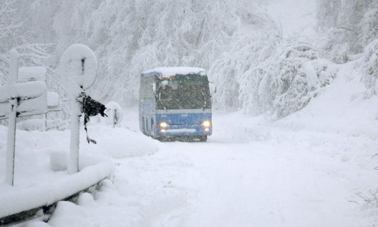 Bão tuyết hoành hành, giao thông tại miền Bắc Italy tê liệt