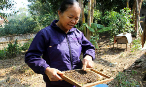 Phụ nữ Minh Sơn năng động phát triển kinh tế