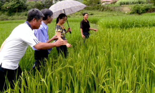 Xây nhịp cầu khoa học