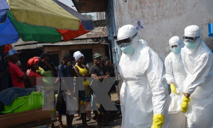 WHO kêu gọi quốc tế tiếp tục hỗ trợ nỗ lực xóa dịch Ebola