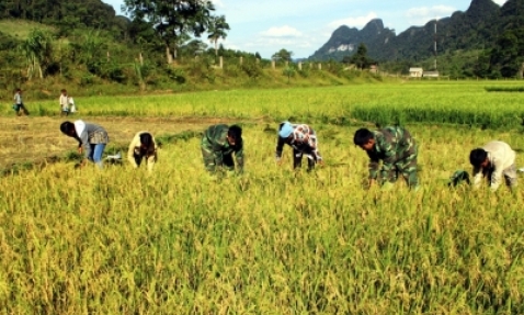 Biên giới thắm tình quân dân