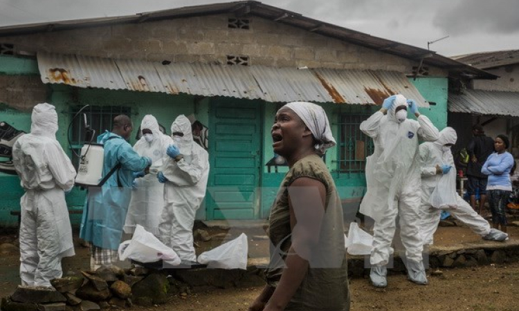 WHO quyết tâm kiểm soát và tiêu diệt căn bệnh chết người Ebola