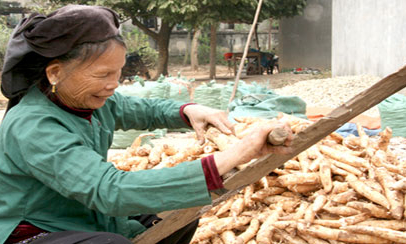 Nỗ lực giảm nghèo cho bà con dân tộc khu vực khó khăn