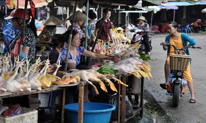 Thịt an toàn - hy vọng của người tiêu dùng