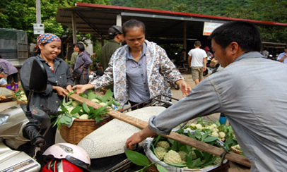 Nâng cao giá trị gia tăng ngành nông nghiệp