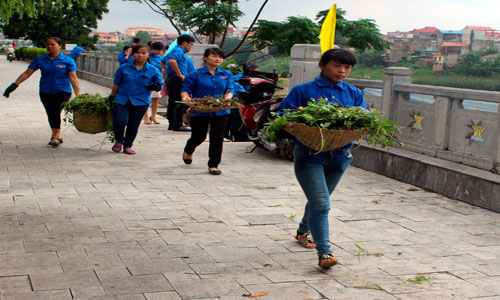 Rộn ràng khúc nhạc hè xanh