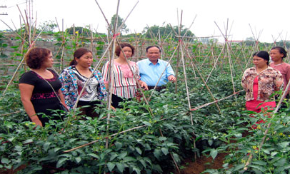 Nông dân tỉnh thực hiện hiệu quả phong trào thi đua yêu nước