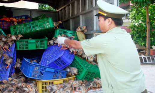 Lộc Bình: Chặn hàng giả, hàng nhái