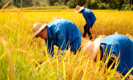 Thanh niên nặng nghĩa ân tình