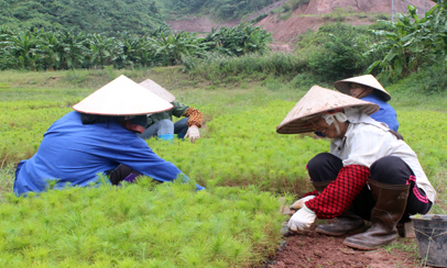 Phát huy vai trò phụ nữ trong kinh tế hợp tác