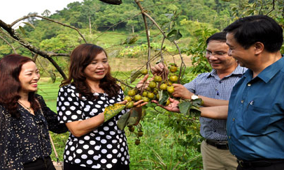 Sản xuất nông nghiệp: Sức bật từ khoa học công nghệ