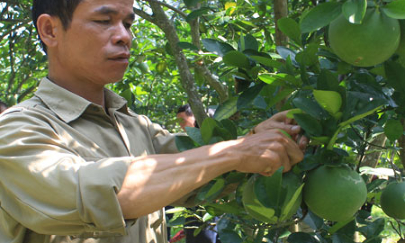 Hội nông dân trên chặng đường phát triển