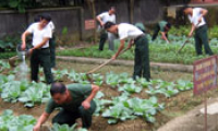 Ban CHQS huyện Bắc Sơn thi đua quyết thắng