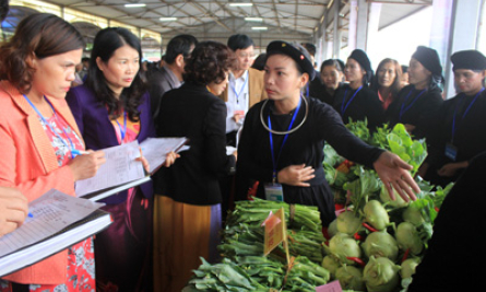 Hội thi rau an toàn thành phố Lạng Sơn: Hoàng Đồng xuất sắc giành giải nhất