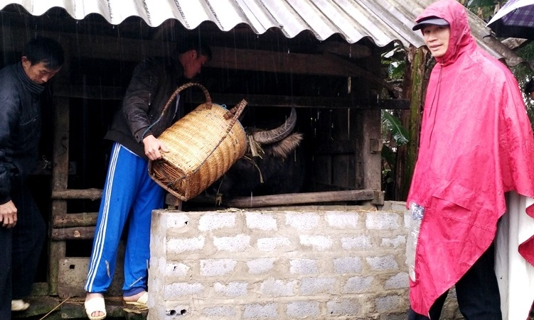 Lào Cai trực canh 24/24 giờ để phòng, chống rét hại, băng giá