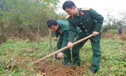 Trồng cây đầu xuân: Khởi động vụ trồng rừng 2016