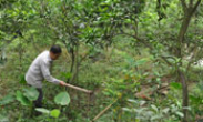 Cựu chiến binh huyện Lộc Bình: “Lính 30/4” trên trận tuyến mới