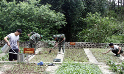 Đồn Biên phòng Chi Ma tích cực tăng gia sản xuất