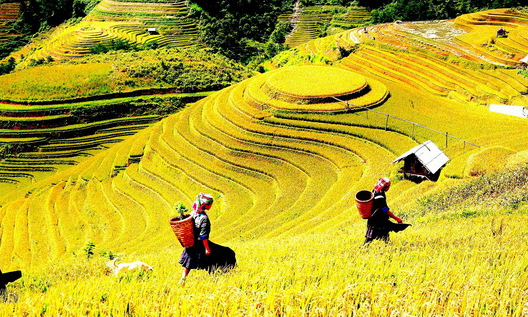 Tour ngắn ngày lên ngôi