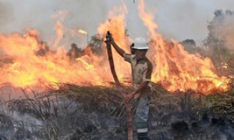 Indonesia tuyên bố tình trạng khẩn cấp do cháy rừng