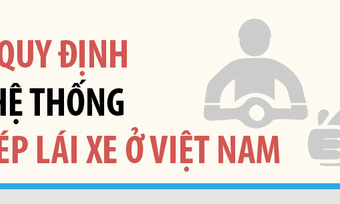 [Infographics] Độ tuổi, hạng và các điều kiện cấp giấy phép lái xe tại Việt Nam