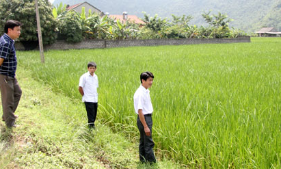 Phát triển các mô hình sản xuất