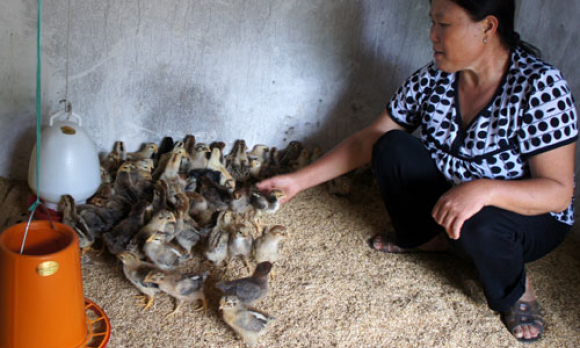 Nữ bí thư chi bộ học Bác “nói đi đôi với làm”