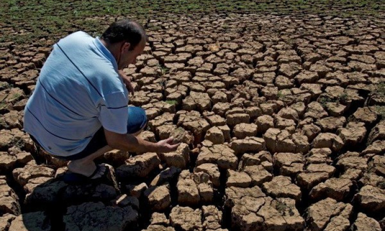 NOAA: Thế giới vừa trải qua tháng 8 nóng nhất trong lịch sử