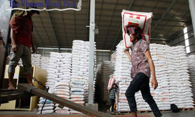 Lượng gạo xuất khẩu của Campuchia tiếp tục giảm