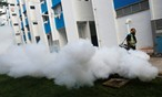 Singapore: Số ca nhiễm virus Zika liên tục tăng