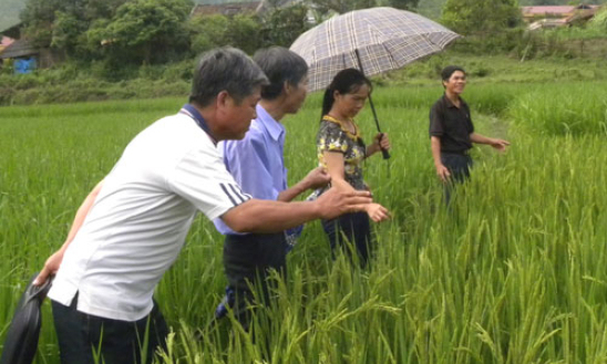 Đảng bộ Đình Lập chú trọng xây dựng đội ngũ cán bộ lãnh đạo quản lý