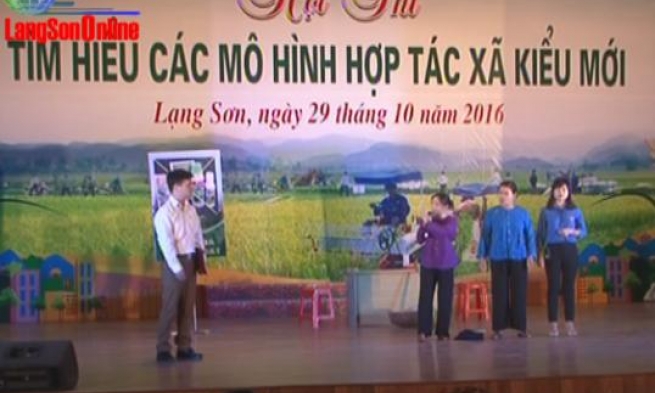 11 đội dự thi "Tìm hiểu các mô hình hợp tác xã kiểu mới"