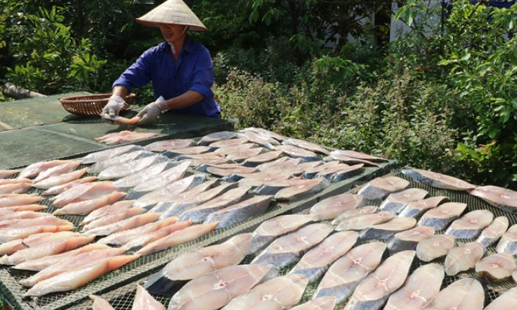 Hải Phòng: Vị ngon riêng biệt của cá thu một nắng Đồ Sơn