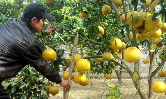 Điểm sáng Bắc Sơn