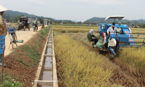 Nỗ lực ở Tràng Định