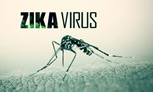 Tọa đàm trực tuyến về phòng bệnh do virus Zika