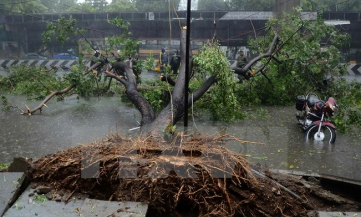 Bão Vardah tràn vào miền Nam Ấn Độ, 10 người thiệt mạng