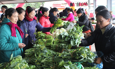 Xây dựng thương hiệu sản phẩm vùng