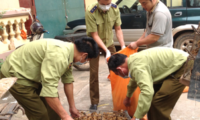 Chặn gia cầm nhập lậu