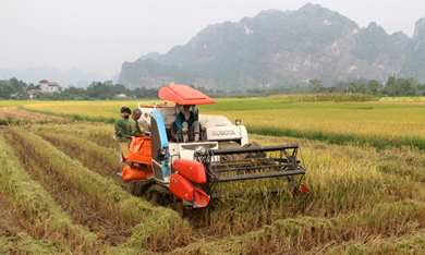 Bước chuyển năm 2016