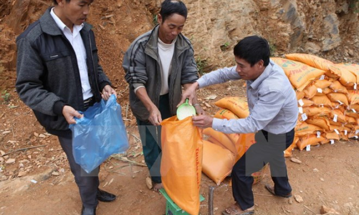 Hỗ trợ trên 14.000 tấn gạo cho nhân dân trong dịp Tết Nguyên đán