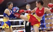 Kiểm tra công tác tổ chức giải Vô địch Kickboxing các Câu lạc bộ toàn quốc