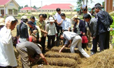 Gắn chặt đào tạo nghề nông nghiệp với thị trường