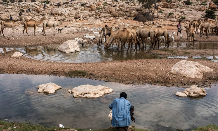 Hạn hán kinh hoàng ở Somalia, 110 người thiệt mạng