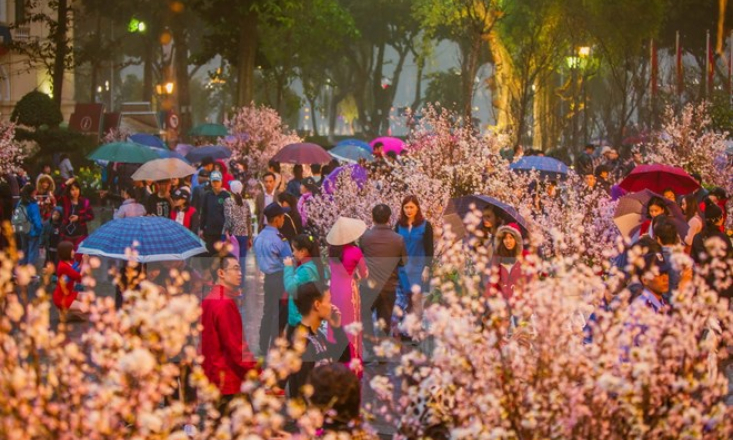 Chủ tịch Quốc hội Nguyễn Thị Kim Ngân tham quan triển lãm hoa anh đào tại Hà Nội